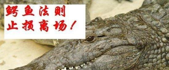 盘点！让人受益终生的六个炒股小故事。
