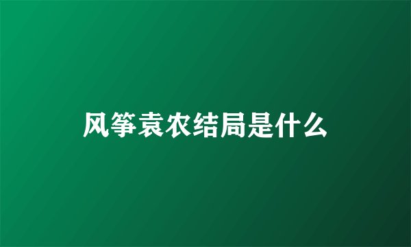 风筝袁农结局是什么