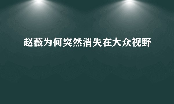 赵薇为何突然消失在大众视野