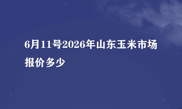 6月11号2026年山东玉米市场报价多少
