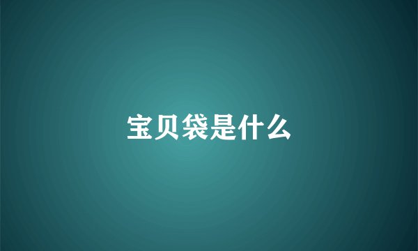 宝贝袋是什么