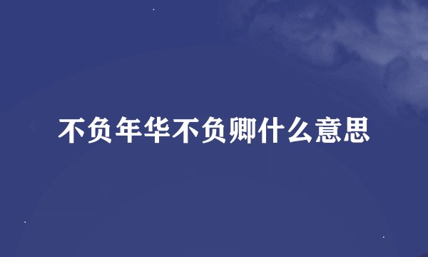 不负年华不负卿什么意思