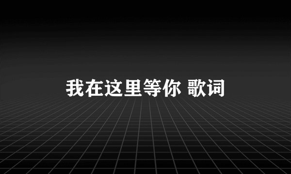 我在这里等你 歌词