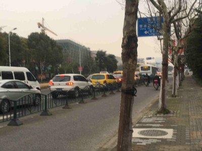 金科路属于哪个区