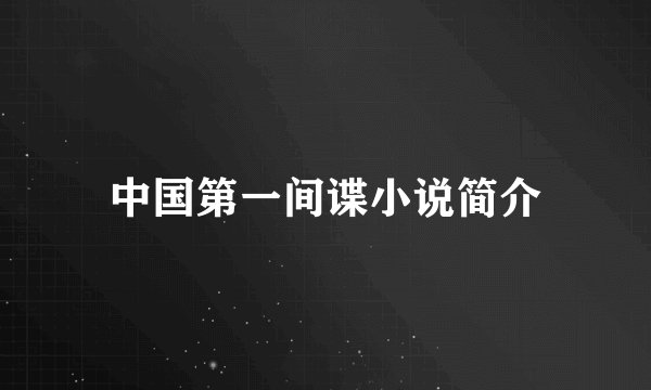 中国第一间谍小说简介