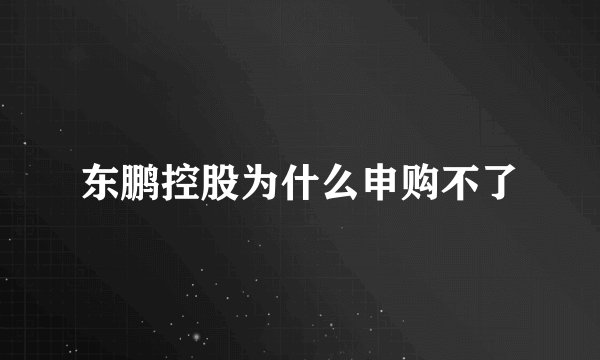 东鹏控股为什么申购不了