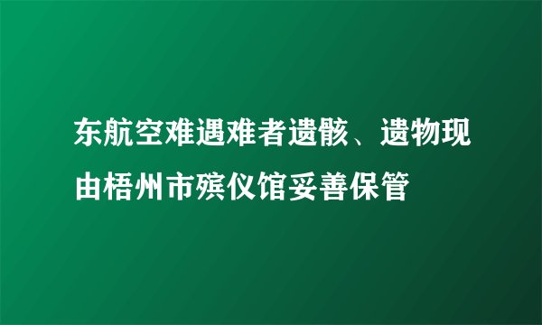 东航空难遇难者遗骸、遗物现由梧州市殡仪馆妥善保管