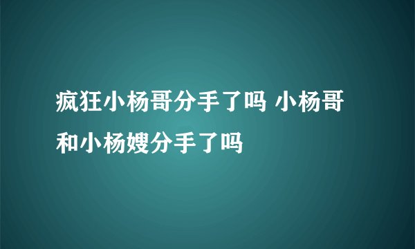疯狂小杨哥分手了吗 小杨哥和小杨嫂分手了吗