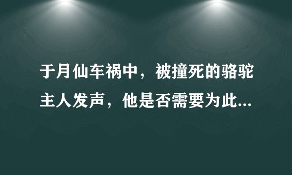 于月仙车祸中，被撞死的骆驼主人发声，他是否需要为此事负责？