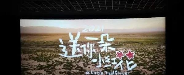 【电影】《送你一朵小红花》(含剧透)(豆瓣7.5分)