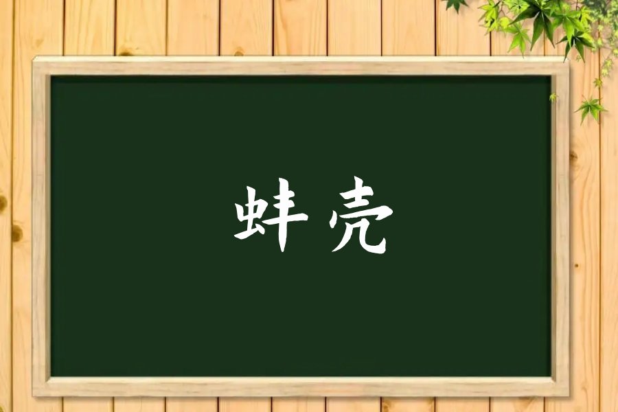 蚌壳是什么意思