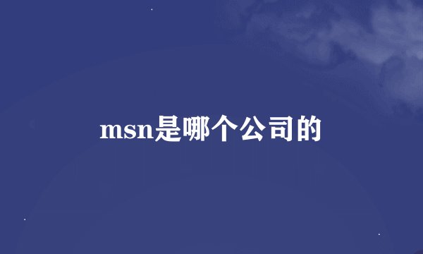 msn是哪个公司的