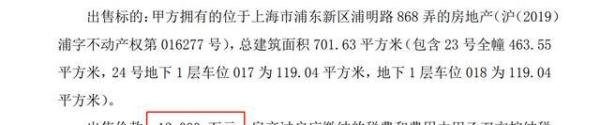 山东神秘富豪掏1.2亿买下上海700平米江景豪宅 曾以近3500万投资派能科技大赚超10倍