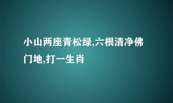 小山两座青松绿,六根清净佛门地,打一生肖