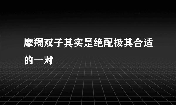 摩羯双子其实是绝配极其合适的一对