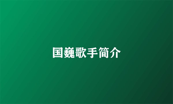 国巍歌手简介
