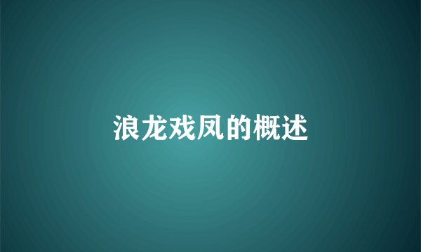 浪龙戏凤的概述