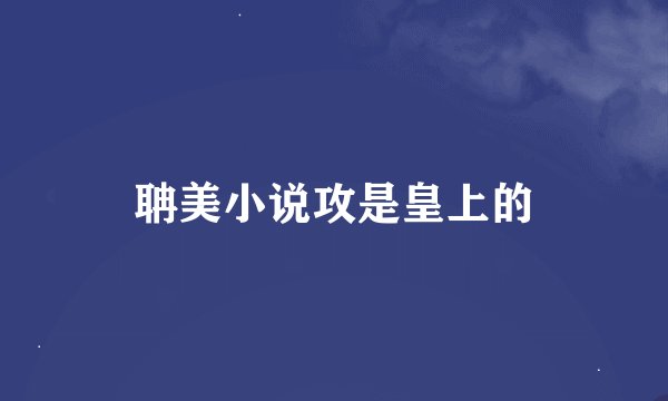 聃美小说攻是皇上的