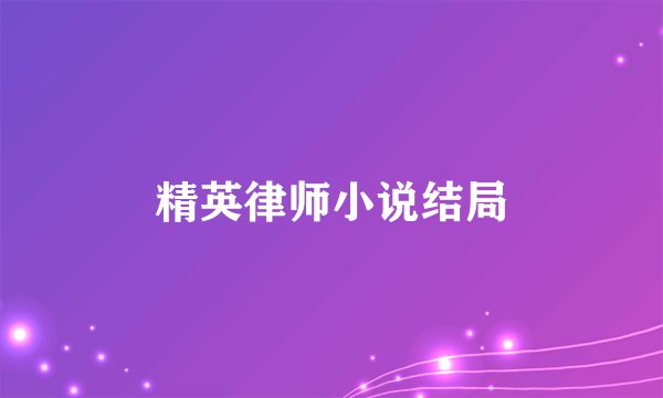 精英律师小说结局