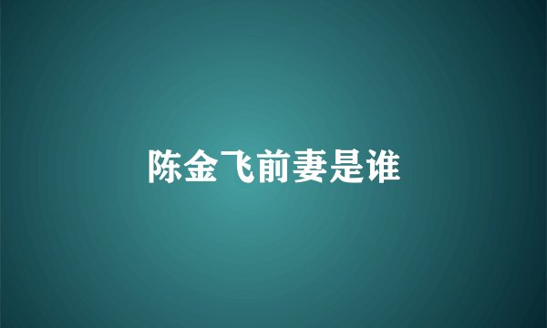 陈金飞前妻是谁
