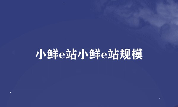 小鲜e站小鲜e站规模