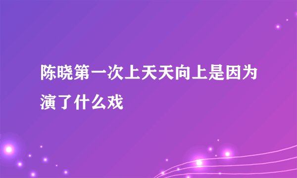 陈晓第一次上天天向上是因为演了什么戏