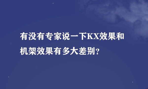 有没有专家说一下KX效果和机架效果有多大差别？
