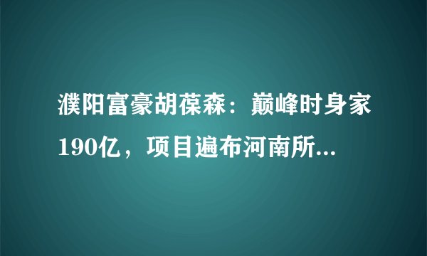 濮阳富豪胡葆森：巅峰时身家190亿，项目遍布河南所有城市，今努力自救