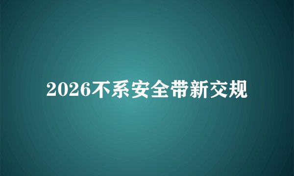 2026不系安全带新交规