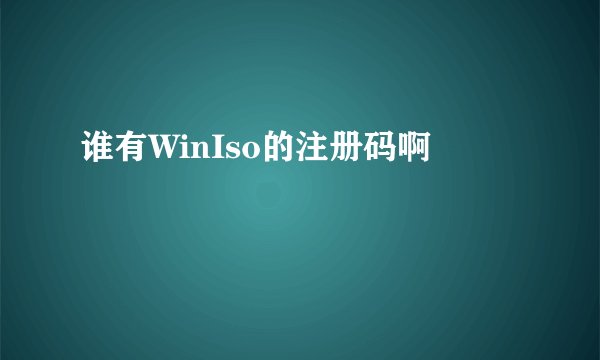 谁有WinIso的注册码啊