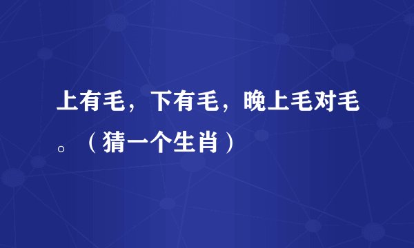 上有毛,下有毛,晚上毛对毛。(猜一个生肖)