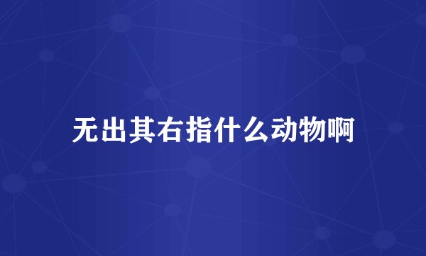 无出其右指什么动物啊