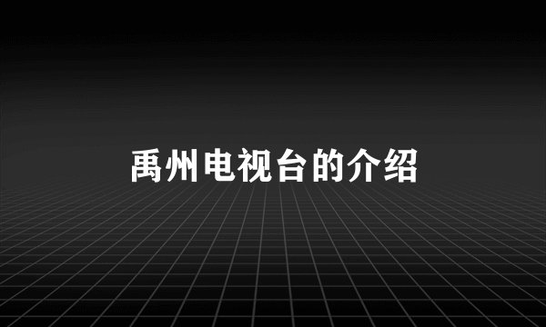 禹州电视台的介绍