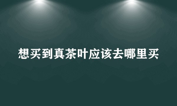 想买到真茶叶应该去哪里买