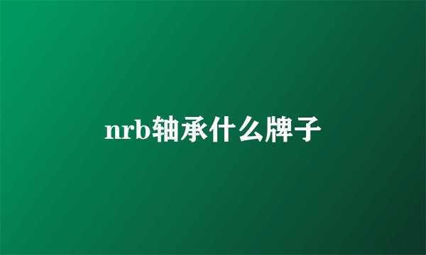 nrb轴承什么牌子