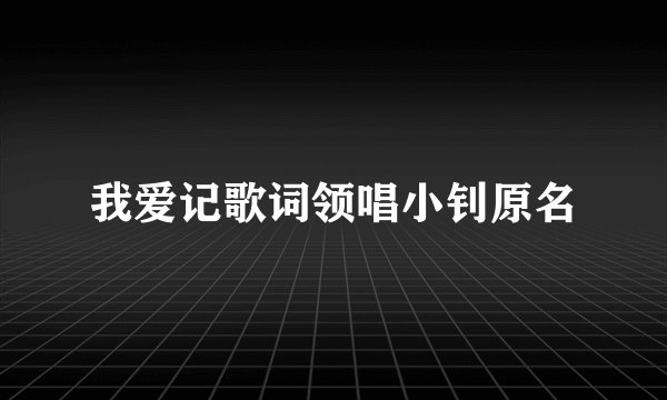 我爱记歌词领唱小钊原名