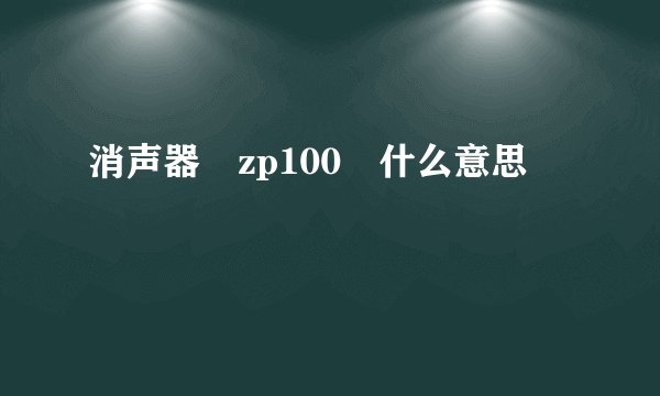 消声器 zp100 什么意思