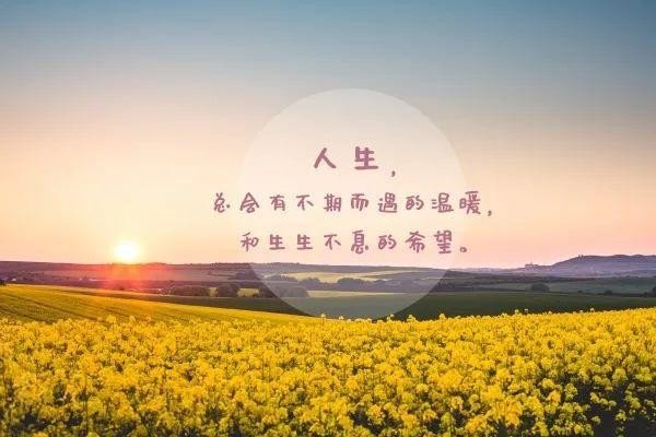 求人不如求己怎么发朋友圈