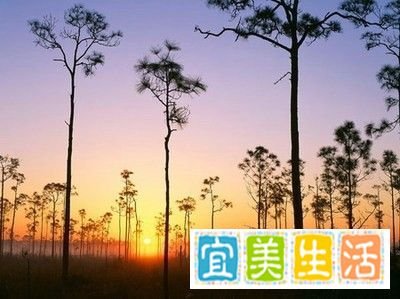 海南三亚自助游攻略