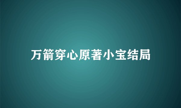万箭穿心原著小宝结局