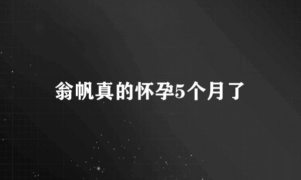 翁帆真的怀孕5个月了