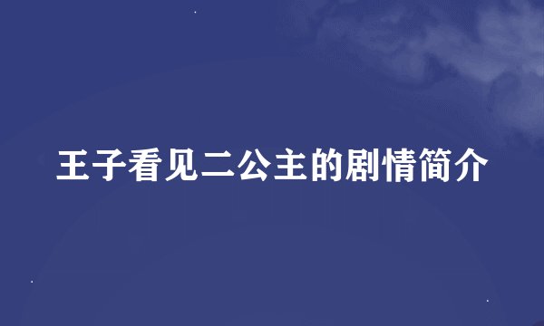 王子看见二公主的剧情简介