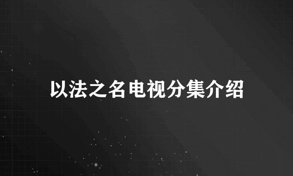 以法之名电视分集介绍