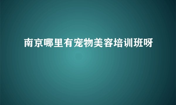 南京哪里有宠物美容培训班呀