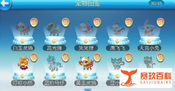 天天酷跑宠物大全/PVP最新版本