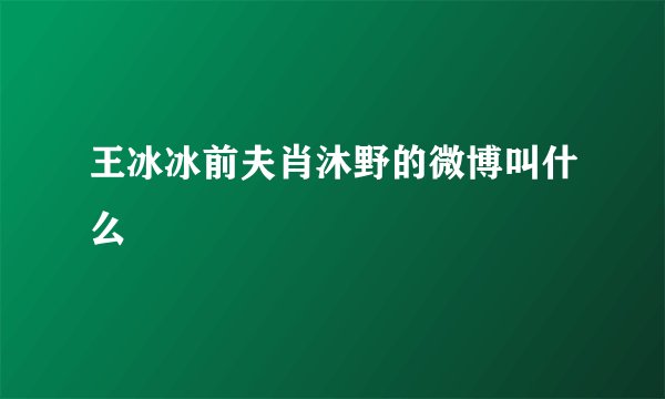 王冰冰前夫肖沐野的微博叫什么