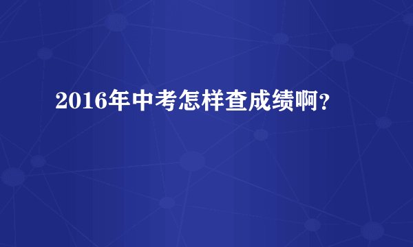 2016年中考怎样查成绩啊？