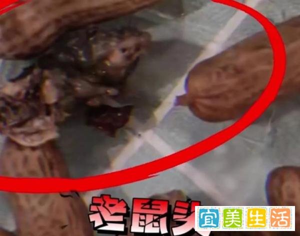 又出事了!女子称买水煮花生快吃完发现老鼠头,当地市监局介入!