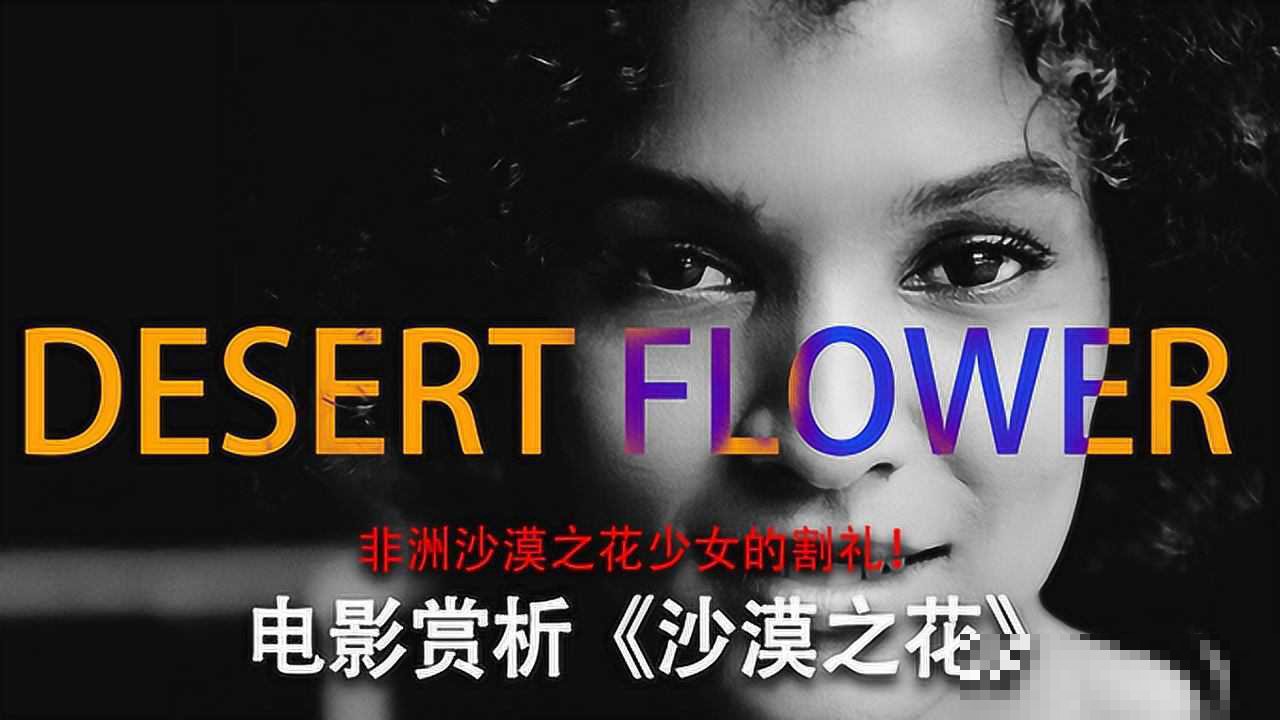 沙漠之花女主现状