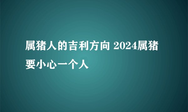 属猪人的吉利方向 2024属猪要小心一个人